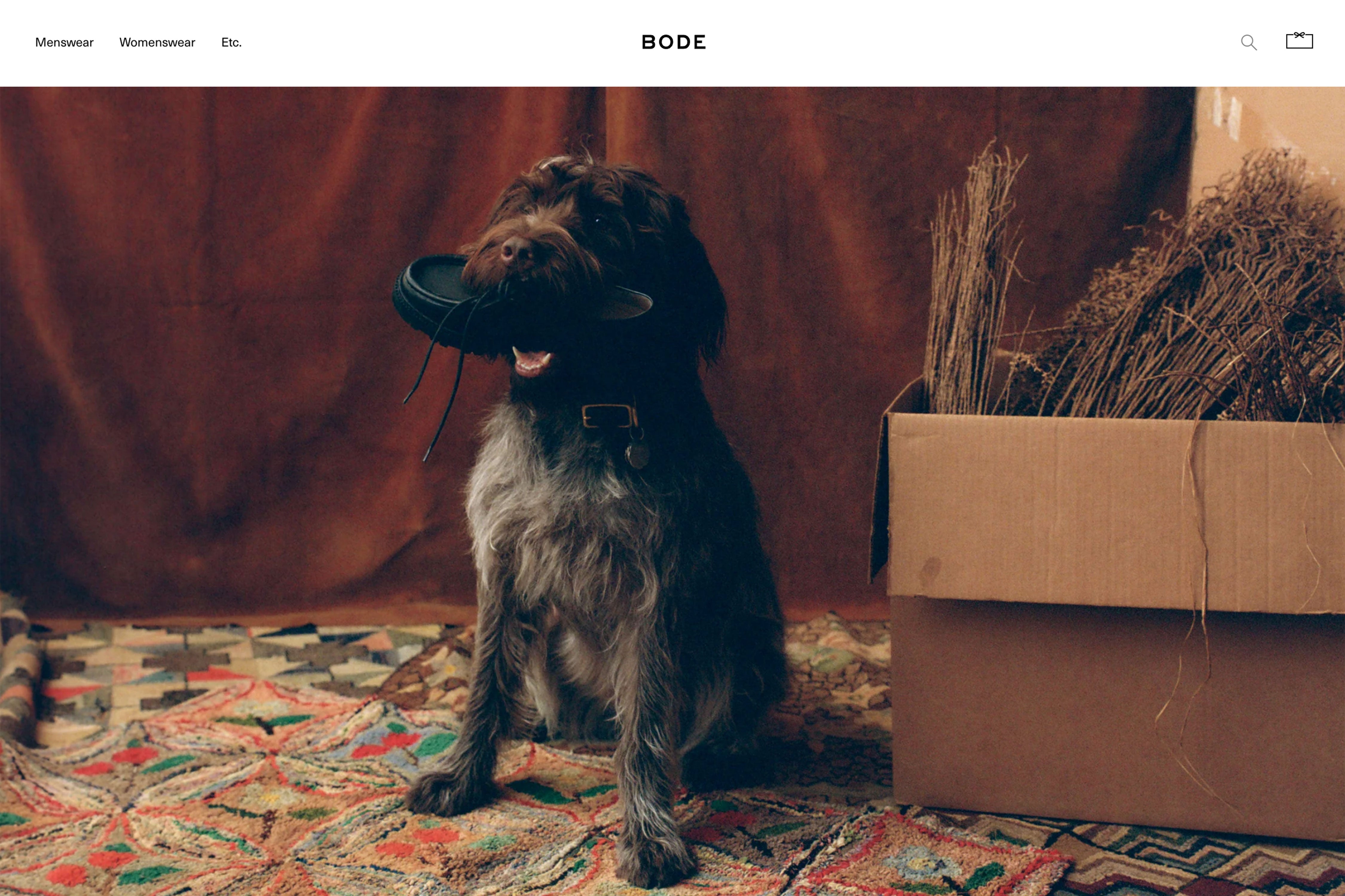 Bode